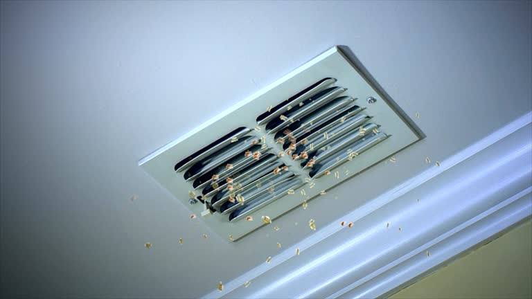 Professional Airduct Cleaning in TX